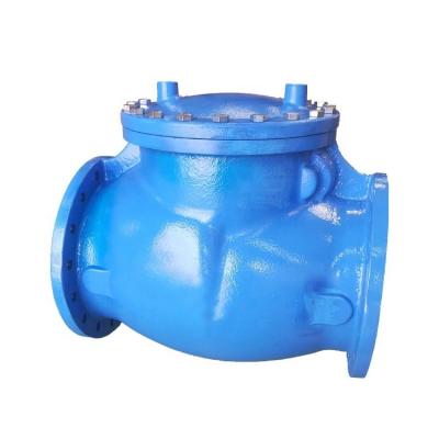 China General Malleable Iron Anti Wear Resistant Check Valve for sale