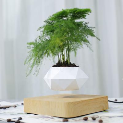 China HCNT Modern levitation bonsai pot air bonsai table gift home decoration for sale