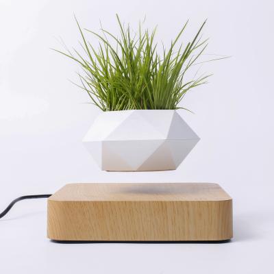 China Green flower/plant magnetic levitation wooden grain base, hexagonal flowerpot, floating bonsai for sale