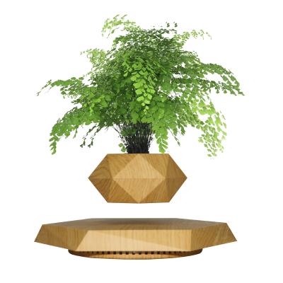 China Simple and fashionable place your plants HCNT Magnetic Levitation Bonsai Hexagon Indoor Plant Free Pot for sale