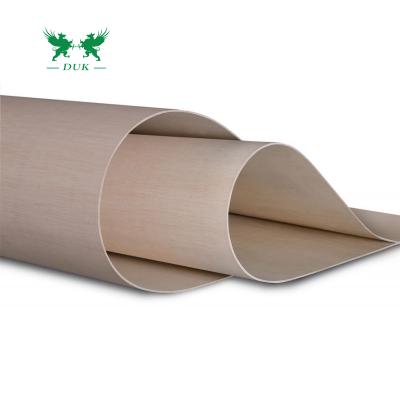 China Traditional furniture grade poplar core paulownia plywood with good service for sale