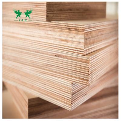 China Contemporary Boat and Boat Building BS1088 Standard Marine Plywood for USA Market for sale