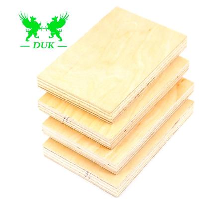 China Indoor Die Netting Panels 13 Ply Birch Plywood Full Birch Plywood 18mm for sale