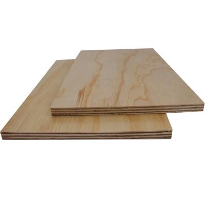 China High quality suit for US market UV prefinished Radiata pine plywood for furniture for sale