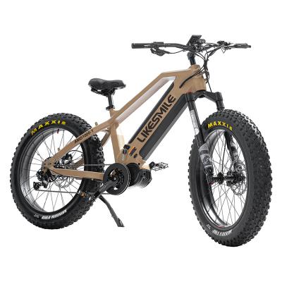 China Discovery Good Quality Fat Tire Aluminum Alloy Outdoor Electric Bicycle 48V 15Ah*2 1000W for Mountain Terrain - Dual Battery for Extended Range for sale