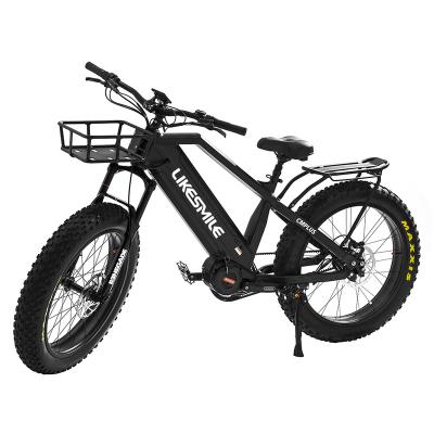 China High quality aluminum alloy factory customize fat tire electric bike ebike 48V 30AH electric bike china for hunting for sale