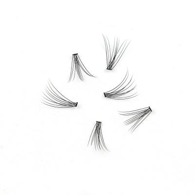 China Full Volume Pre Made Volume Fans Top Grade Eyelash Spiked Bass Fans Lashes Lashes for sale