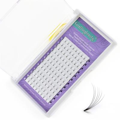 China Russian Fan M Eyelash Extensions Lash Extension Black Premade Easy Full Volume Medicine Prep Eyelash Fans for sale