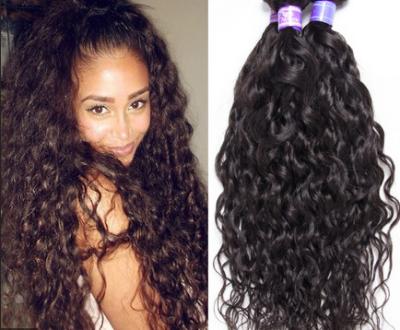 China Curly Wet and Wavy 100% Brazilian Curly Human Hair No Shedding Fade for sale