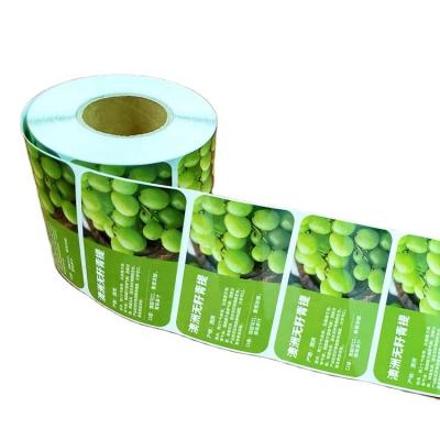 China Factory Direct Eco-friendly Fruit Adhesive Sticker With Full Color Print for sale