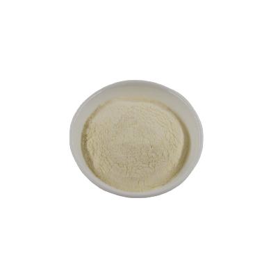 China Dry Garlic Powder Dehydrated AD Yellow Garlic Powder Ginger Spice Powder for sale