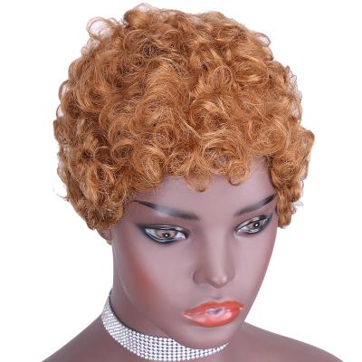 China Afro Wave Best Selling Wholesale Brazilian Virgin Pixie Cut 3