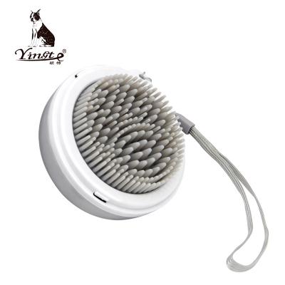 China Factory Manufacture Viable Double Sided Pet Shower Brush Cat Dog Bath Brush With A Lice Free Comb for sale