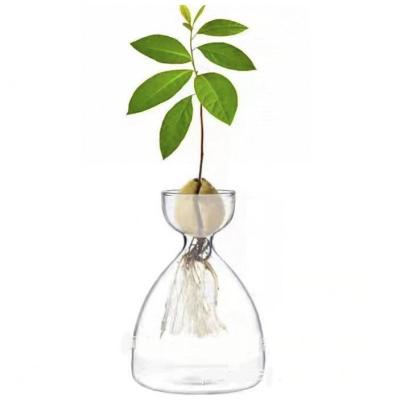 China Modern Wholesale Modern Garden Decoration Minimalism Plant Avocado Clear Glass Vase for sale