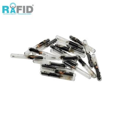 China Animal Syringe Microchip RAFID GPS Tracking Microchip Implantable Microchip Rfid RFID Tag Glass Identification For Animal for sale