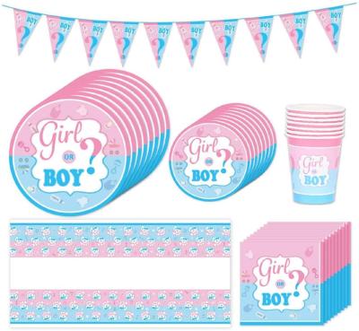 China Paper Boy or Girl Gender Reveal or Baby Shower Party Supplies - Dinner Plates, Cups, Napkins, Table Cloth and Banner Decorations for Ge for sale