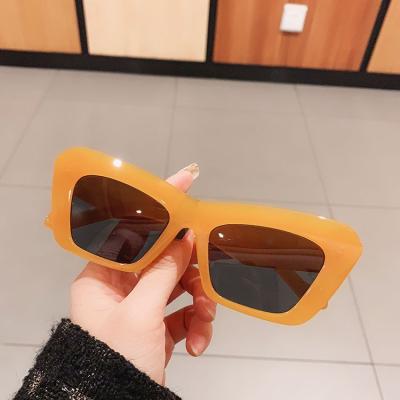 China Colorful Simple Cat Eye Plastic Sunglasses European And American Hip-hop Cat Eye Large Frame Retro Personality Sunglasses for sale