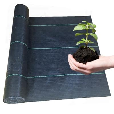 China 70g-150g Plant Nursery Breathable Ground Cover Plastic PP Woven Weed Control Agriculture Fabric for sale