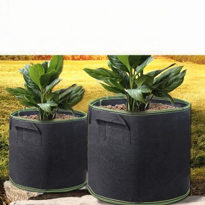 China Plant Growth Nonwoven Fabric Felt To Grow Sack / Planter Bag With Handle And Fins for sale