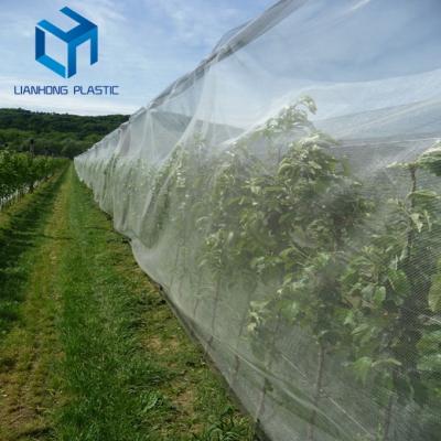 China 100% virgin HDPE new arrival UV treated HDPE greenhouse insect net, agriculture pe insect net, insect screen/net with low price for sale