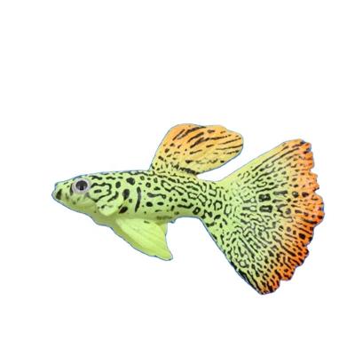 China Artificial Bottom Water Live Luminous Ornament Aquatic Lands Decoration Goldfish Jellyfish Glow Effect Aquarium Ornament DHL1958 for sale