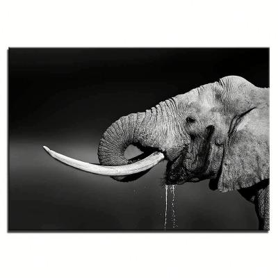 China Eco-friendly Material Elephant Art Canvas Wall Picture for sale