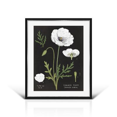 China PASTORAL GOODS IN STOCK - nordic plant flower posters wall art for home decor for sale