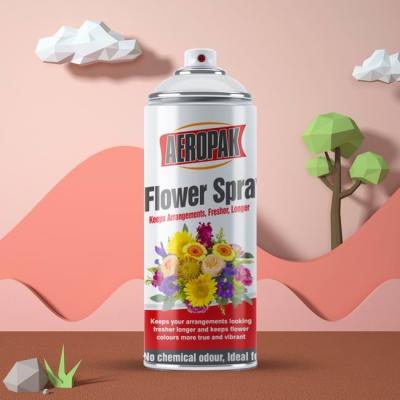 Cina Vernice spray aerosol da 400 ml per spray colorante naturale per fiori veri in vendita