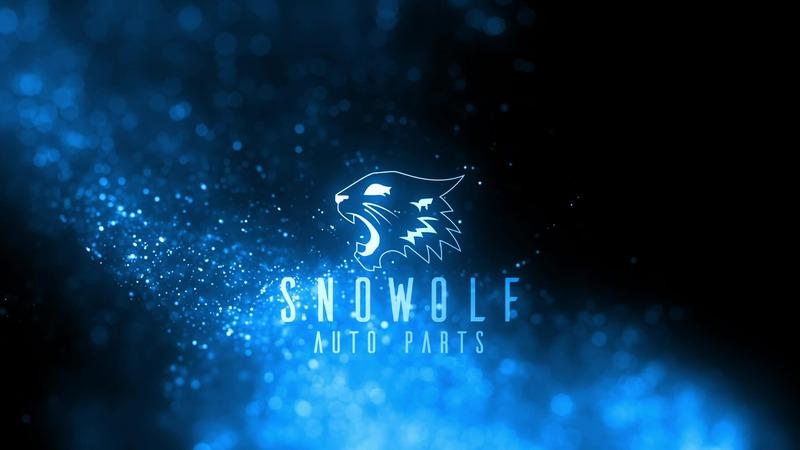 Verified China supplier - Dongguan Snowolf Auto Parts Co., Ltd.