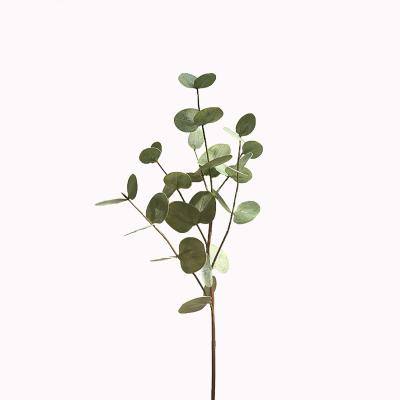 China Wholesale High Quality Elegant Rural Style Country Style Artificial Leaves / Eucalyptus Long Stem DIY Grass Wall For Party for sale