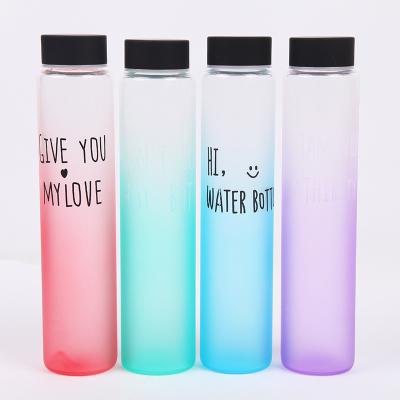 China Portable Bottle Frosted Glass Viable Colored Water Bottle for sale