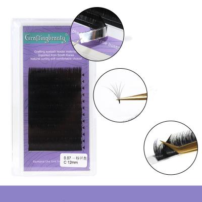 China Private Label Fan Easy Eyelash Natural Feeling Custom Packing Person Whips Extension Fan Easy Eyelash Extension for sale