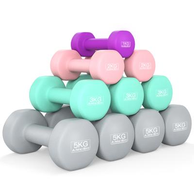 China Women Universal Solid Cast Iron Weight FullBody Free Workout Training Equipment Plastic Hex Dip Dumbbell for sale