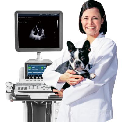 China 4D Metal Animals Medical Ultrasound Veterinary Machine / Veterinary Ultrasound Scanner for sale