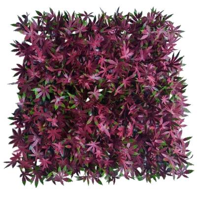 China Transitional Garden Plant Artificial Boxwood Hedge Panels Moss Grass Green Wall For Home Decoration for sale