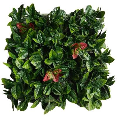 China Transitional Artificial Plastic Green Wall System Moss Grass Plant Panels Leaves Creeper Boxwood Hedge For Decoration for sale