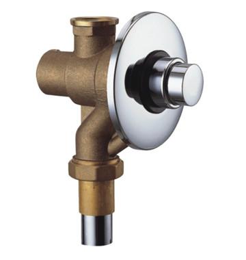 China Wall-Mounted Concealed Toilet Self-Closing Flush Valve With Button Switch , 3 - 5” for sale