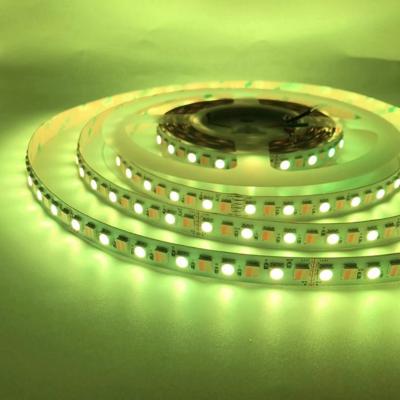 China Hotel 5meter 24volt cct rgbw led strip 5050 rgb 24v for sale