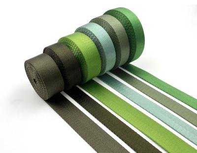 China High Tenacity 25mm Heavy Nylon Webbing Ribbon For Belt Bag Purse Strap Key Gusset for sale