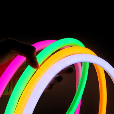 China Theme Park Around The Lamp 12V 24V Waterproof Flexible 360 ​​Degree Led Christmas Neon Light for sale