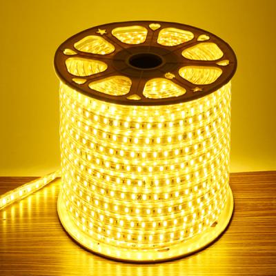 China SUMMAO theme park hot sales smd5050 60leds/m three more stable chip led strip light 220v for sale