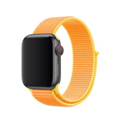 China Fanshion New Hot Selling Suits Apple Wristband Nylon Elastic Removable Smart Strap for sale