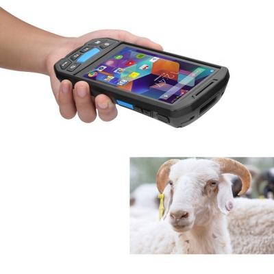 China Smartphone Livestock Ear Tags Reader Android 9 OS PDA Animal Handheld Terminal SI RFID Reader 1342KHZ for sale