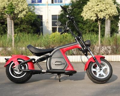 China 2020 New Arrival Moped Scooter Moped Electric Bike EEC COC Citycoco des motocicletas 2000w 30ah Unisex for sale