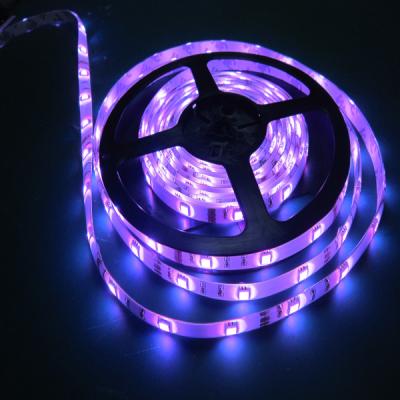 China Theme Park Tuya Smart Led Strip Light 5 Meter Wifi Control RGB Led Strip Light for sale