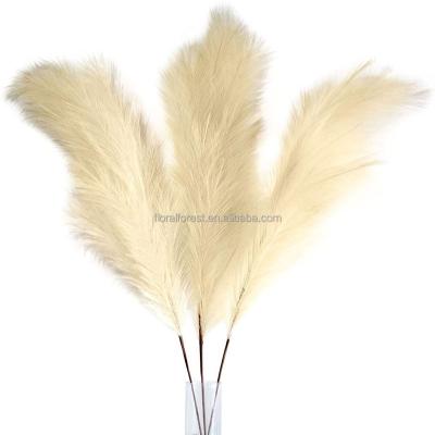 China Hot Sale Natural Dry Artificial Pampas Grass Pampas Grass Artificial Pampas Grass For Home Decors Weddings Flower Arrangement for sale