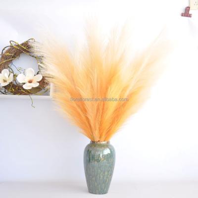 China Top Sale Natural Dry Artificial Amazon Pampas Grass Pampas Grass Pampas Grass For Home Decors Weddings for sale