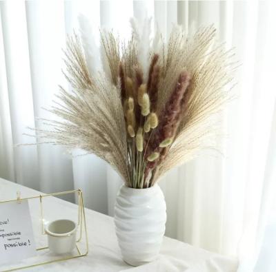 China Natural pampas grass beige bouquet events decoration dry flowers for weddings home decors dried flower bouquet for sale