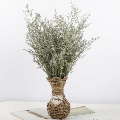 China Events Decoration Melaleuca Bracteata Dried Flowers Wholesales Dried Melaleuca By Premium Dried Decorative Flowers Bracteata for sale