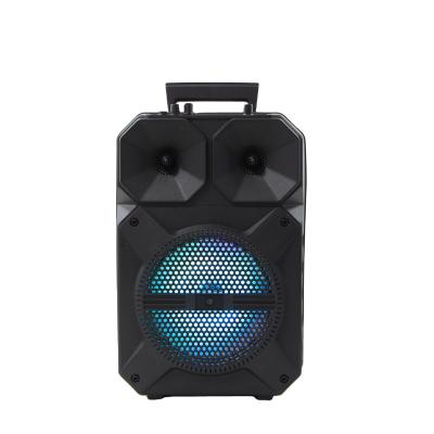 China DTS OEM Wholesale BT Mini Wireless Party Active Outdoor Light 8 Inch Portable Speaker With Led for sale